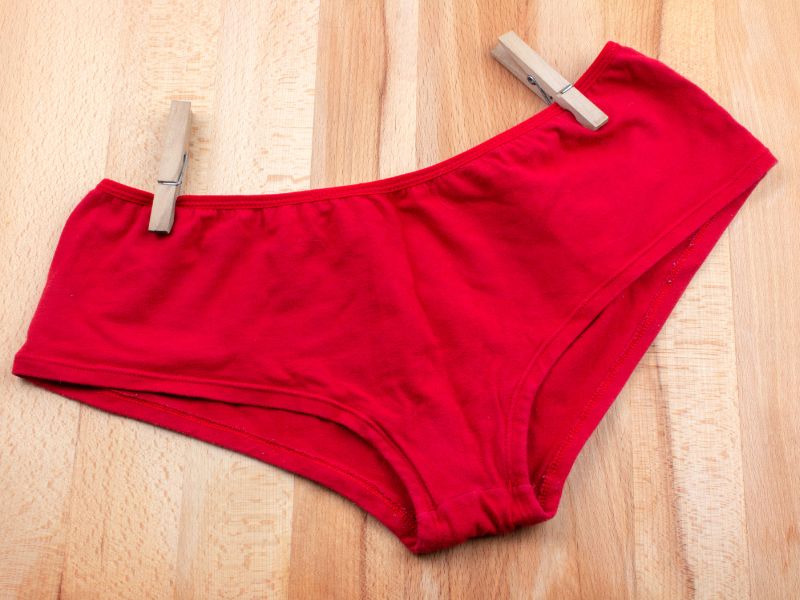 Biker Panties How to Choose the Right Motorcycle Underwear